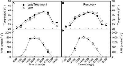 Photochemical Efficiency of Photosystem II in Inverted Leaves of Soybean [Glycine max (L.) Merr.] Affected by Elevated Temperature and High Light